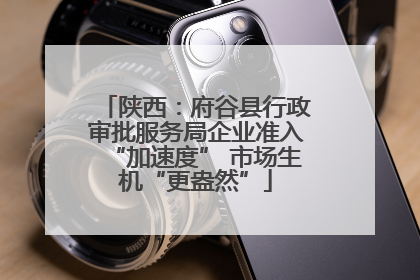 陕西：府谷县行政审批服务局企业准入“加速度” 市场生机“更盎然”