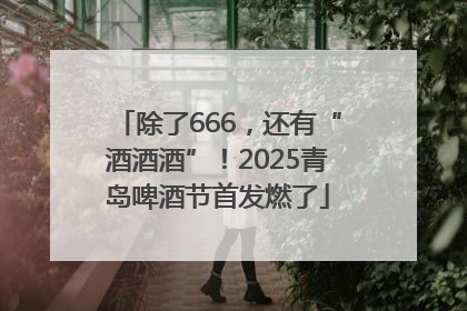 除了666，还有“酒酒酒”！2025青岛啤酒节首发燃了