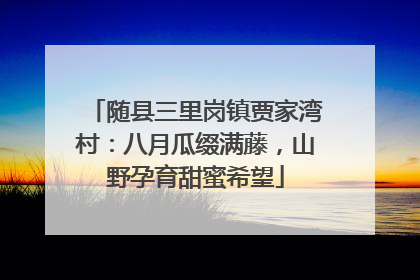 随县三里岗镇贾家湾村：八月瓜缀满藤，山野孕育甜蜜希望