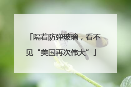 隔着防弹玻璃，看不见“美国再次伟大”