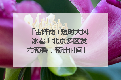 雷阵雨+短时大风+冰雹！北京多区发布预警，预计时间