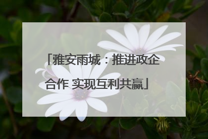雅安雨城：推进政企合作 实现互利共赢
