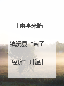 雨季来临 镇沅县“菌子经济”升温
