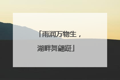 雨润万物生，湖畔舞翩跹