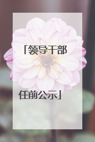 领导干部任前公示
