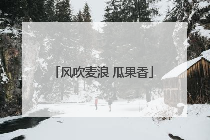 风吹麦浪 瓜果香