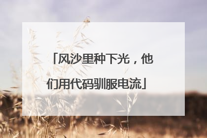 风沙里种下光，他们用代码驯服电流