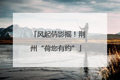 风起倩影摇！荆州“荷您有约”