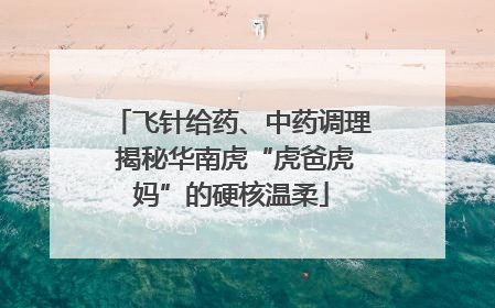 飞针给药、中药调理 揭秘华南虎“虎爸虎妈”的硬核温柔