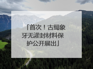 首次！古蜀象牙无灌封材料保护公开展出