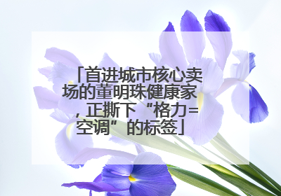 首进城市核心卖场的董明珠健康家，正撕下“格力=空调”的标签