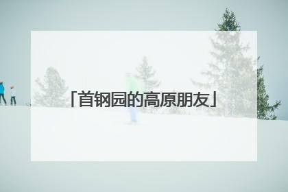首钢园的高原朋友