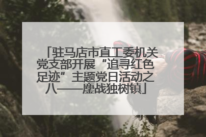 驻马店市直工委机关党支部开展“追寻红色足迹”主题党日活动之八——鏖战独树镇