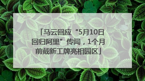 马云回应“5月10日回归阿里”传闻，1个月前戴新工牌亮相园区