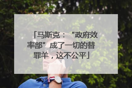 马斯克：“政府效率部”成了一切的替罪羊，这不公平