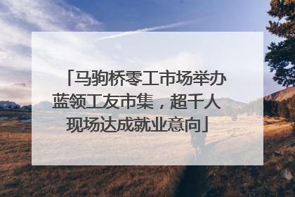 马驹桥零工市场举办蓝领工友市集，超千人现场达成就业意向