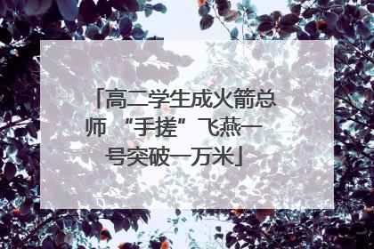 高二学生成火箭总师 “手搓”飞燕一号突破一万米