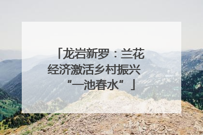 龙岩新罗：兰花经济激活乡村振兴“一池春水”