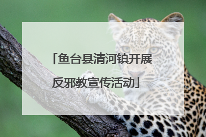 鱼台县清河镇开展反邪教宣传活动