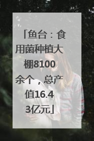 鱼台：食用菌种植大棚8100余个，总产值16.43亿元