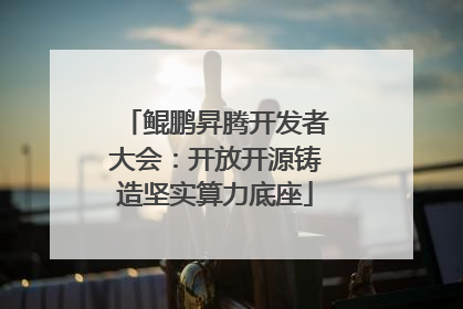 鲲鹏昇腾开发者大会：开放开源铸造坚实算力底座