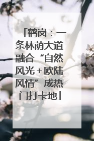 鹤岗：一条林荫大道融合“自然风光＋欧陆风情”成热门打卡地