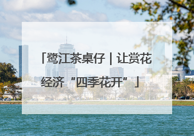 鹭江茶桌仔｜让赏花经济“四季花开”