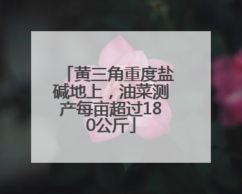 黄三角重度盐碱地上，油菜测产每亩超过180公斤