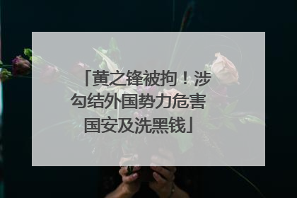 黄之锋被拘！涉勾结外国势力危害国安及洗黑钱