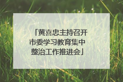 黄喜忠主持召开市委学习教育集中整治工作推进会