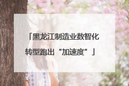 黑龙江制造业数智化转型跑出“加速度”
