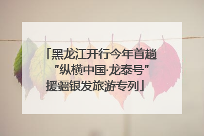 黑龙江开行今年首趟“纵横中国·龙泰号”援疆银发旅游专列