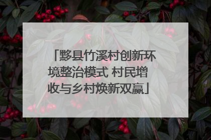 黟县竹溪村创新环境整治模式 村民增收与乡村焕新双赢