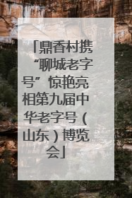 鼎香村携“聊城老字号”惊艳亮相第九届中华老字号（山东）博览会