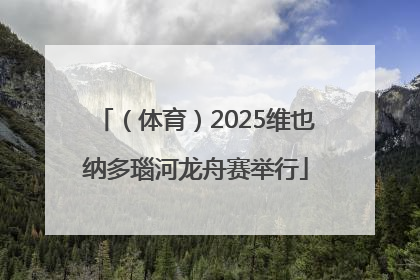 （体育）2025维也纳多瑙河龙舟赛举行