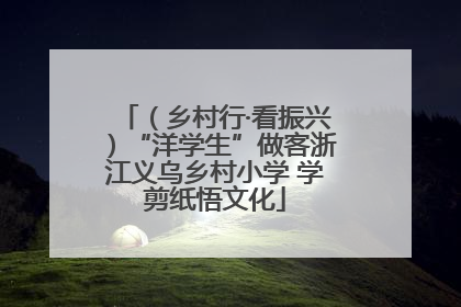 （乡村行·看振兴）“洋学生”做客浙江义乌乡村小学 学剪纸悟文化