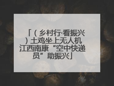 （乡村行·看振兴）土鸡坐上无人机 江西南康“空中快递员”助振兴