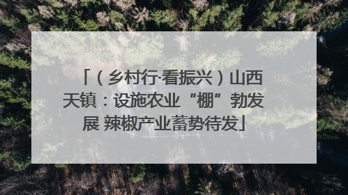 （乡村行·看振兴）山西天镇：设施农业“棚”勃发展 辣椒产业蓄势待发