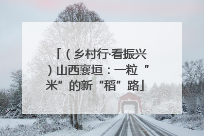 （乡村行·看振兴）山西襄垣：一粒“米”的新“稻”路
