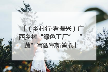 （乡村行·看振兴）广西乡村“绿色工厂” “蔬”写致富新答卷