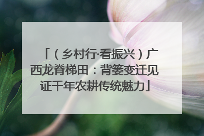 （乡村行·看振兴）广西龙脊梯田：背篓变迁见证千年农耕传统魅力