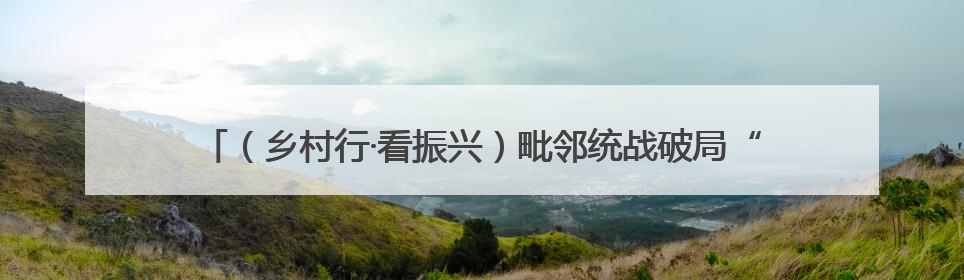 （乡村行·看振兴）毗邻统战破局“出圈” 浙沪乡村绘就共富新图景