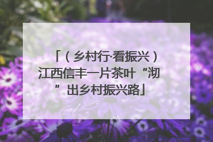 （乡村行·看振兴）江西信丰一片茶叶“沏”出乡村振兴路
