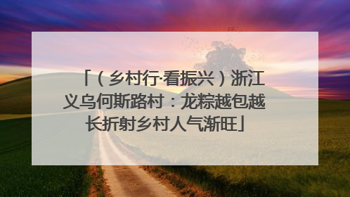 （乡村行·看振兴）浙江义乌何斯路村：龙粽越包越长折射乡村人气渐旺