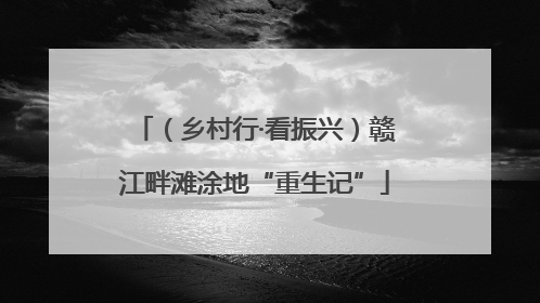（乡村行·看振兴）赣江畔滩涂地“重生记”