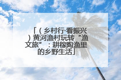 （乡村行·看振兴）黄河渔村玩转“渔文旅”：耕稼陶渔里的乡野生活