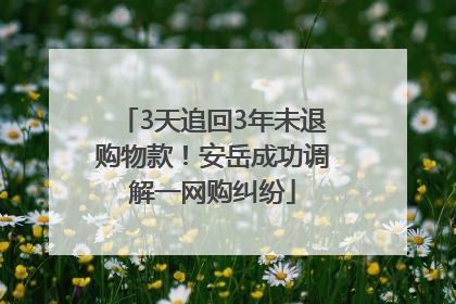 3天追回3年未退购物款！安岳成功调解一网购纠纷