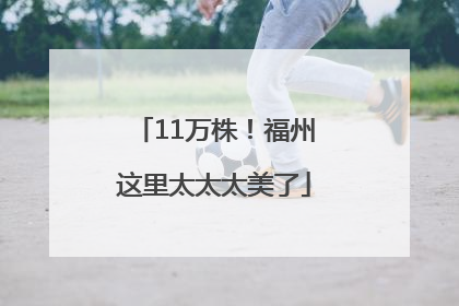 11万株！福州这里太太太美了