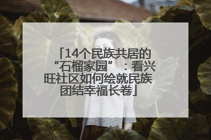 14个民族共居的“石榴家园”：看兴旺社区如何绘就民族团结幸福长卷