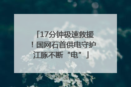 17分钟极速救援！国网石首供电守护江豚不断“电”